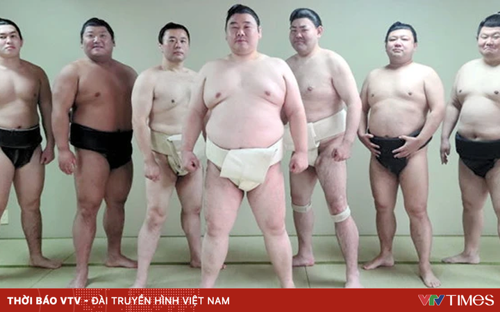 Former Sumo fighters “wrestle” with life after retirement