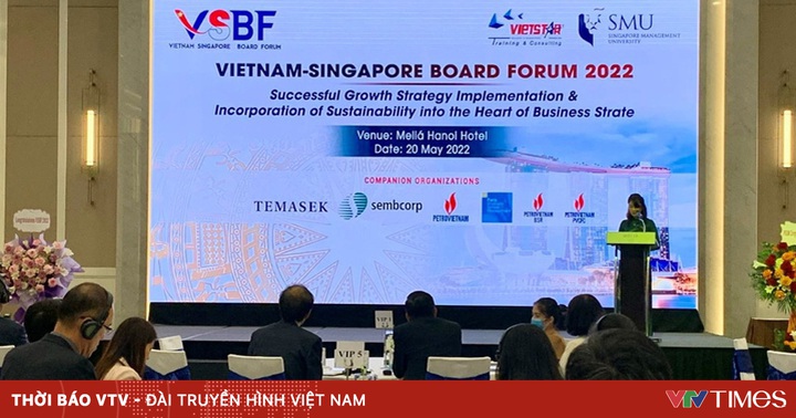 Vietnam – Singapore cooperate to implement growth strategy