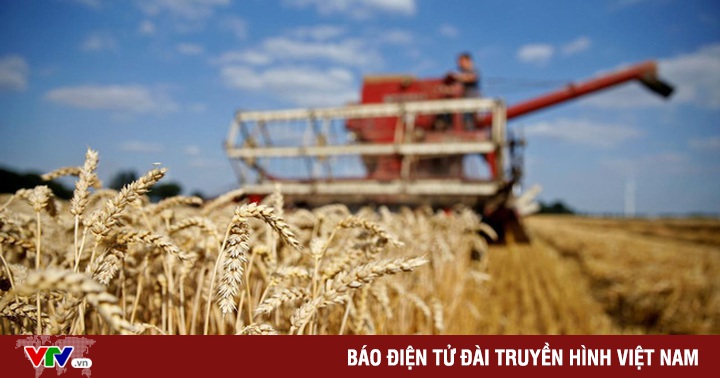UN seeks to bring Ukrainian grain back to market