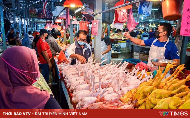 Singapore faces difficulties when Malaysia bans chicken exports