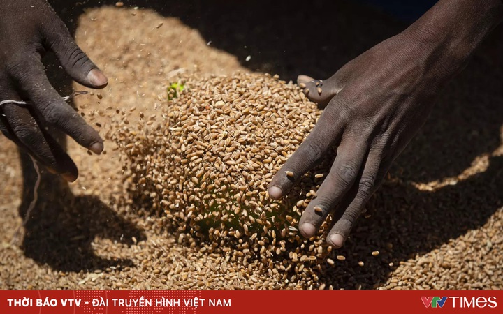 325 million people on the brink of hunger, the world calls for coordination to ensure global food security