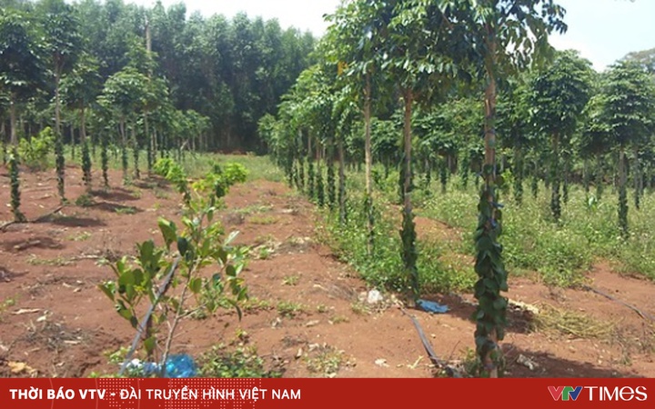 Inadequacies in the management of agricultural and forestry land