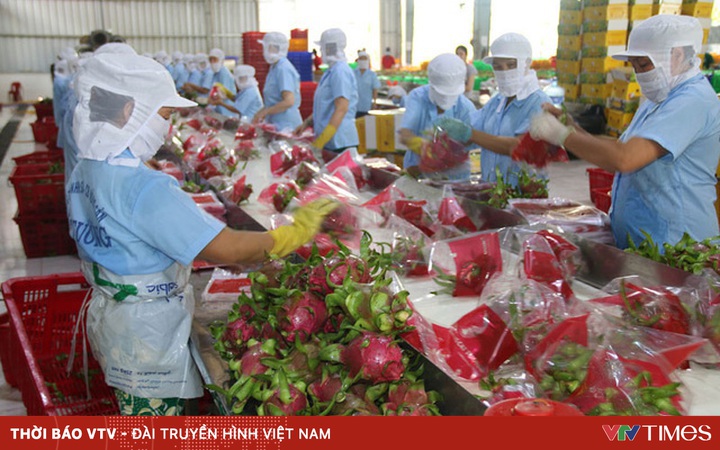 Export of agricultural products in 4 months reached nearly 18 billion USD