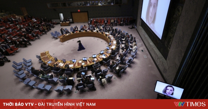 Security Council adopts first declaration on Ukraine