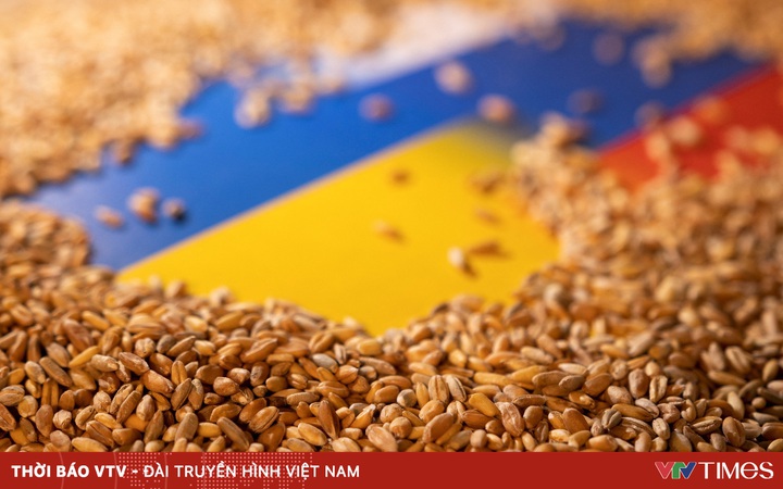 The United Nations coordinated to open a route to transport food in Ukraine