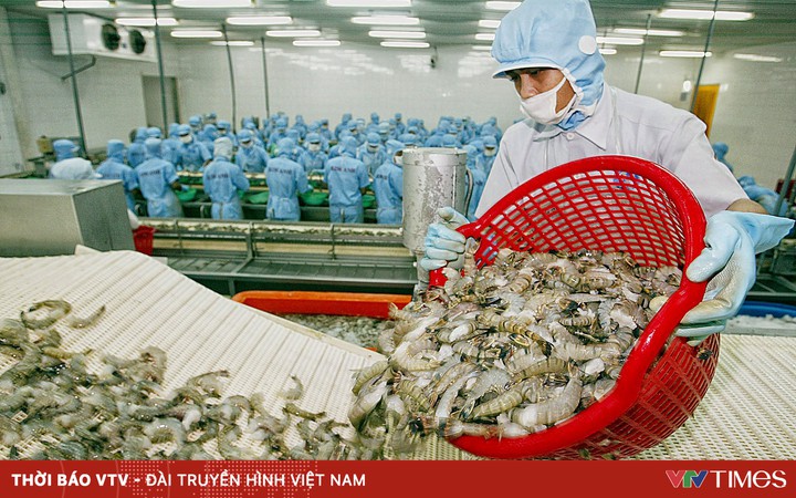 Seafood exports grow slowly in May