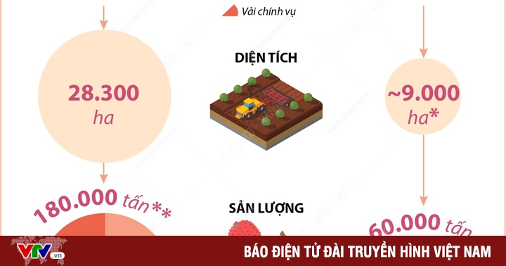 [INFOGRAPHIC] In the year of 2022, the lychee is in good season