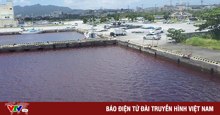 ญี่ปุ่น: น้ำทะเล น้ำในแม่น้ำเปลี่ยนเป็นสีแดงเนื่องจากสารเติมแต่งในโรงเบียร์