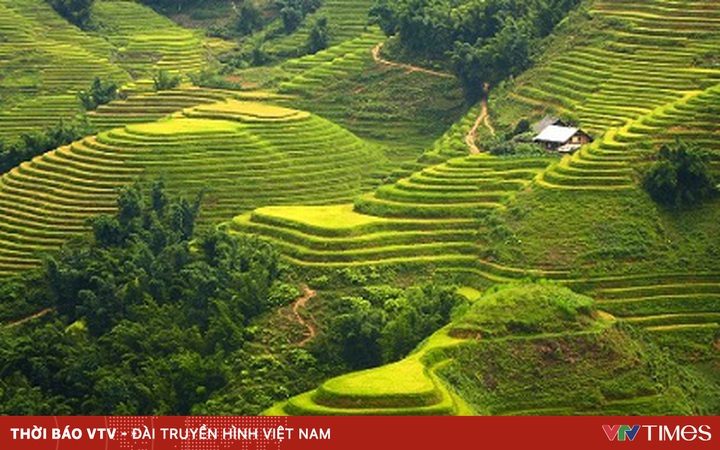 Tây Bắc Qua Các Tác Phẩm Văn Học Được Giảng Dạy Trong Nhà Trường | Vtv.Vn