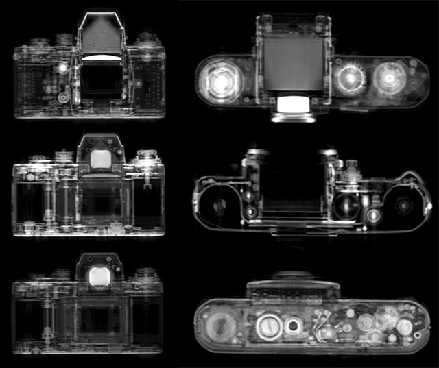 Nikon F3 (Nguồn: Petapixel)