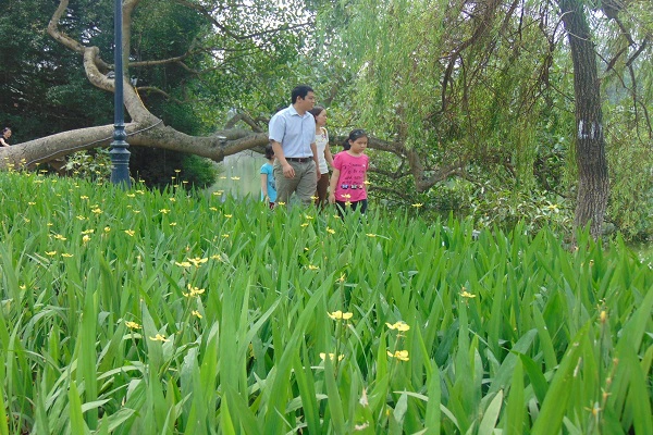 
Nhiều gia đình cho trẻ nhỏ đi dạo quanh công viên, bách thảo, vườn thú tận hưởng không khí thanh bình của Hà Nội.
