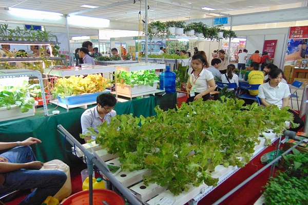 
Ngay sau khi có mặt tại Tuần lễ Nông sản an toàn, mô hình trồng rau sạch bằng phương pháp thủy canh đã được nhiều người quan tâm.
