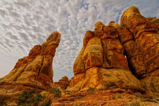 Những tháp đá nhọn nằm trong phần địa chất the Needles ở công viên quốc gia Canyonlands, Utah. Ảnh: Aaron Sauma