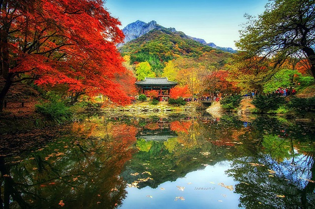 Tiên cảnh Hàn Quốc: Hàn Quốc là một đất nước có nhiều tiên cảnh tuyệt đẹp, từ những ngôi chùa cổ kính đến các công viên hoa tuyệt đẹp. Hãy nhanh chóng đắm mình vào không gian đầy phép màu này, tận hưởng khoảnh khắc tuyệt vời và chụp những bức ảnh đẹp nhất.