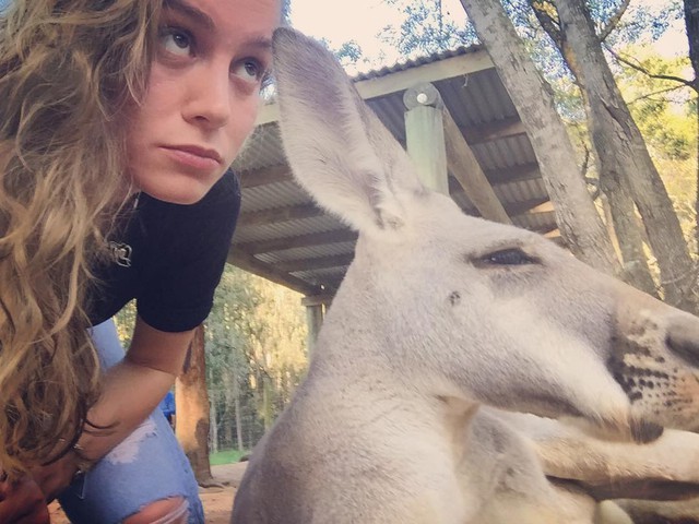 
Brie Larson tạo dáng bên chú kangaroo lạnh lùng
