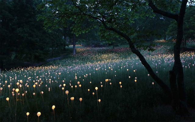 
Hàng trăm nghìn bóng đèn với đủ màu sắc phát sáng trong đêm mang đến cho người xem hiệu ứng thị giác đặc biệt.
