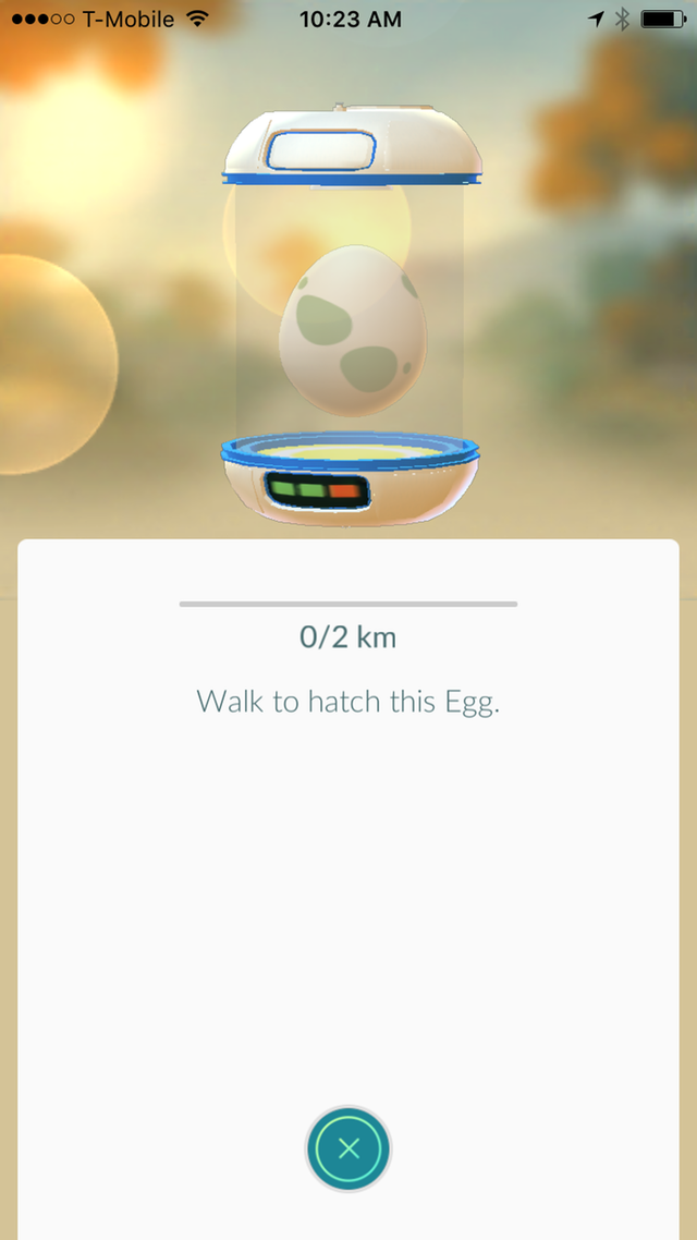 Pokémon GO: Hướng dẫn ấp trứng Pokémon