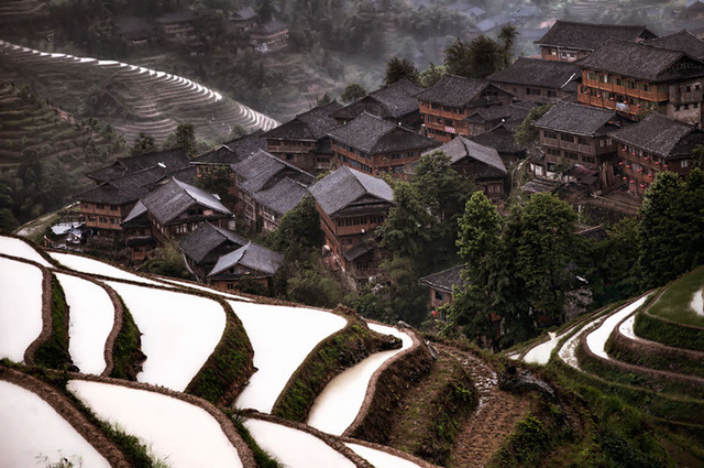 
Những ngôi nhà cổ ẩn mình giữa những thửa ruộng bậc thang ở Trung Quốc mang đến vẻ thanh bình.
