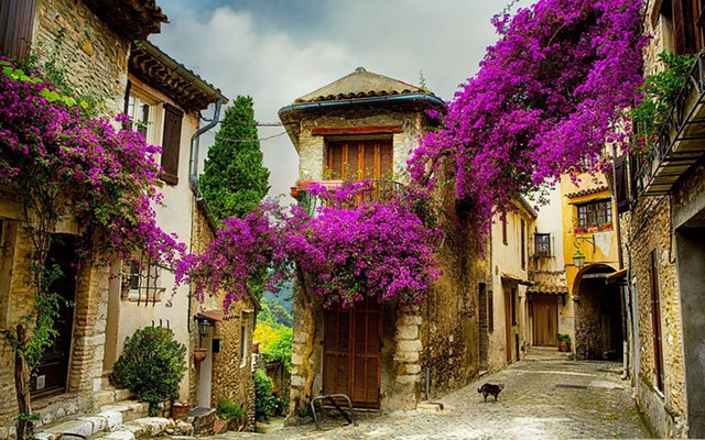 
Thị trấn nhỏ ở Provence, Pháp với những ngôi nhà cổ được phủ hoa đầy thơ mộng.
