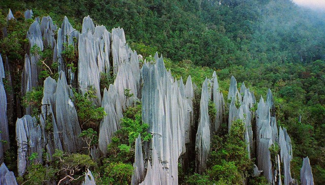 
Núi Api ở công viên Quốc gia Gunung Mulu, Malaysia có 150 chỏm đá nhọn giống như những thanh kiếm, một hiện tượng tự nhiên được hình thành do mưa xói mòn từ khoảng 5 triệu năm trước.
