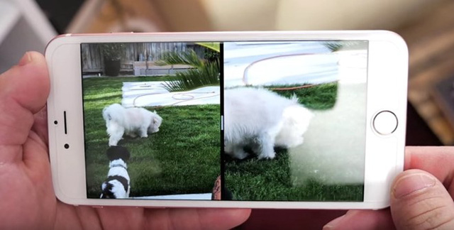 
Hình ảnh sử dụng dual camera trên iPhone thế hệ tiếp theo. (Ảnh: Zing)
