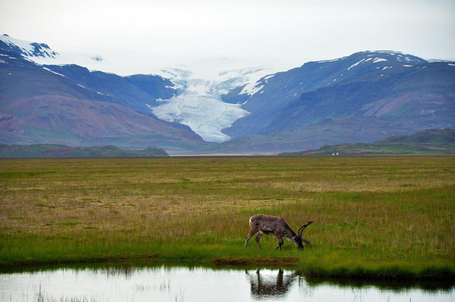 
Một hình ảnh thiên nhiên đẹp đến nao lòng ở Iceland.
