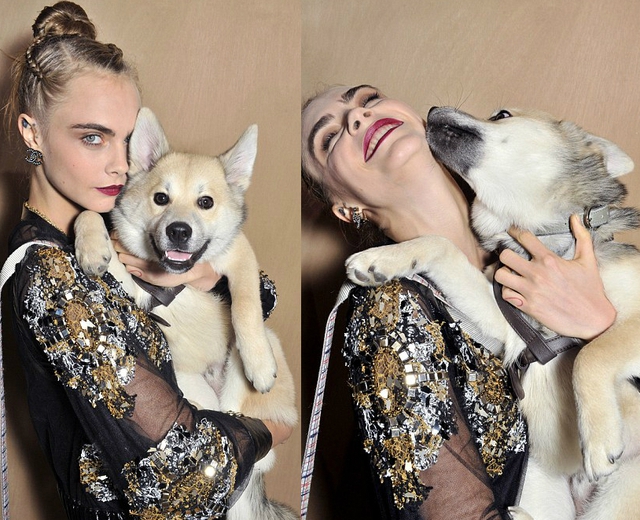 
Cara Delevingne rạng rỡ tạo dáng bên cún cưng ở hậu trường show diễn của Chanel
