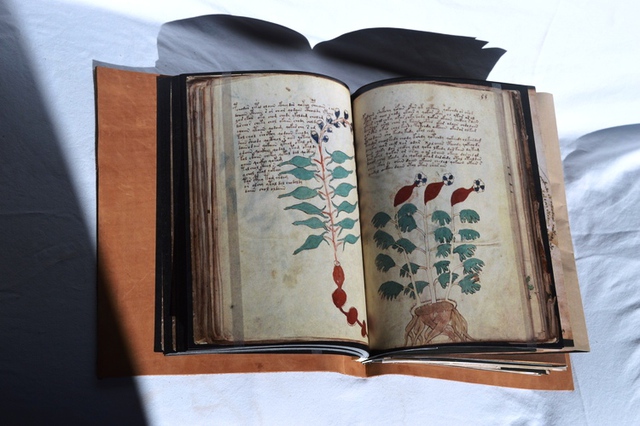 
Quyển sách Voynich gốc hiện đang được lưu giữ tại đại học Yale.
