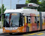 TP.HCM: Người dân được đi xe bus điện miễn phí