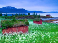 Những căn nhà mang vẻ đẹp cổ tích ở Na Uy