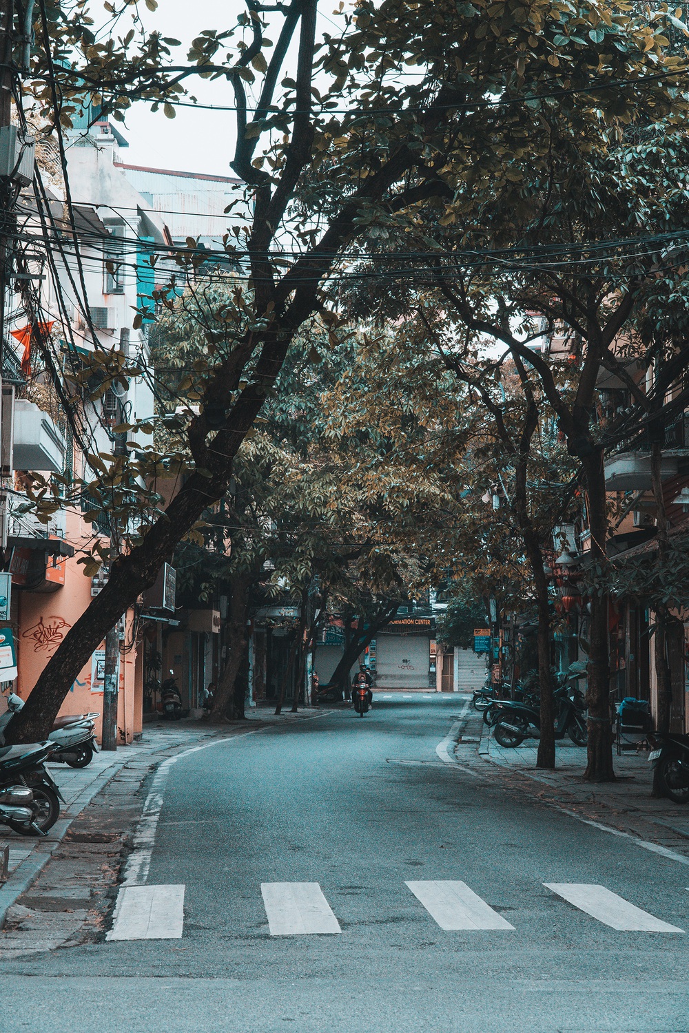 Với những hình ảnh về Hà Nội, bạn sẽ được trải nghiệm những cung bậc cảm xúc khác nhau về thành phố này, từ sự náo nhiệt đến yên bình, từ văn hóa đến ẩm thực.
