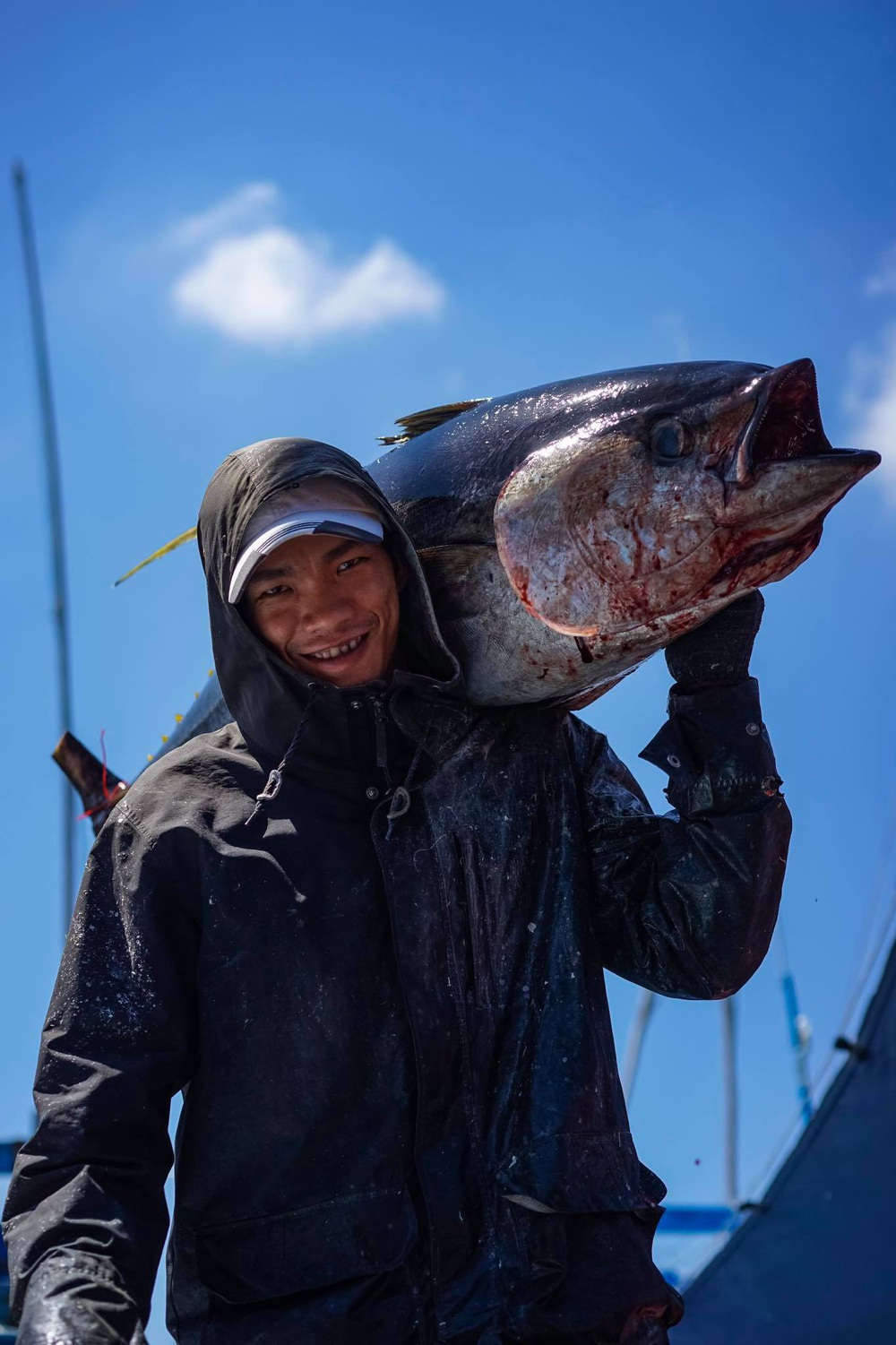 Ngư dân Tam Quan vui mùa cá ngừ đại dương - Ảnh 13.
