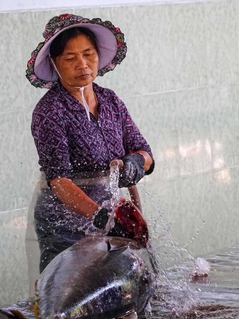 Ngư dân Tam Quan vui mùa cá ngừ đại dương - Ảnh 19.