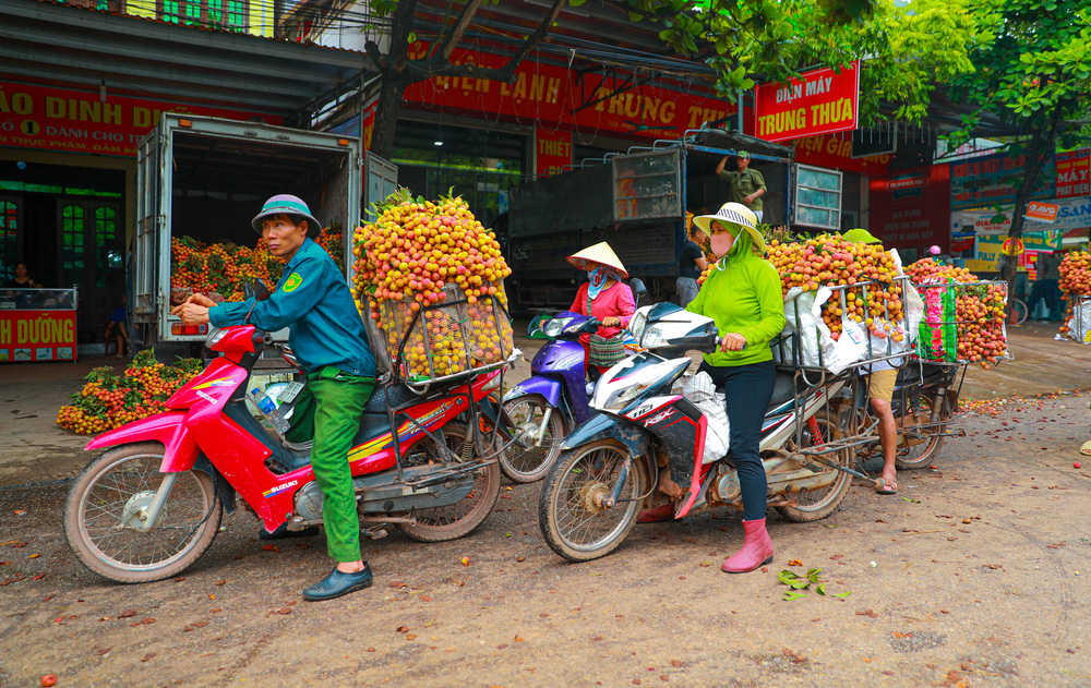 Lục Ngạn (Bắc Giang) mùa vải chín: Phiên chợ rực rỡ sắc đỏ - Ảnh 6.