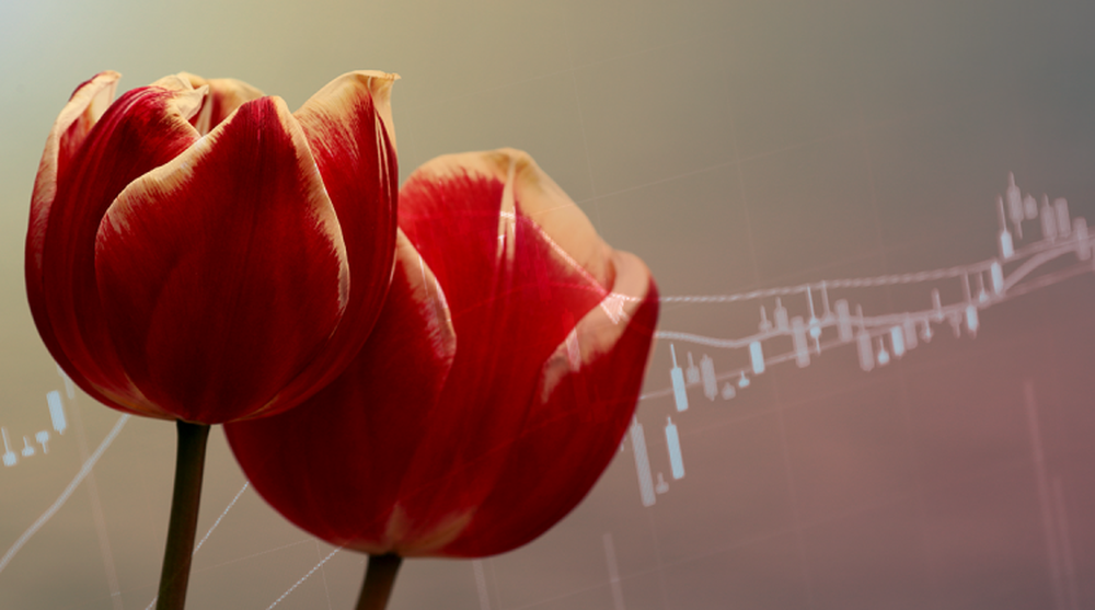 Sốt lan đột biến, giấc mộng ôm lan đổi đời và lời cảnh báo bong bóng tulip gần 400 năm trước - Ảnh 6.