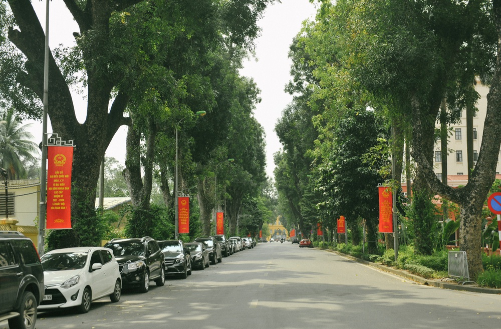 Thủ đô Hà Nội rực sắc đỏ chào mừng cuộc bầu cử Đại biểu Quốc hội và HĐND - Ảnh 7.