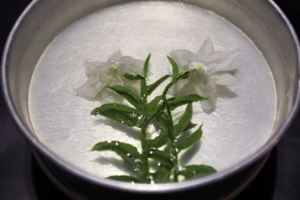 Tạo hình 3D hoa loa kèn bằng thạch rau câu - Ảnh 9.