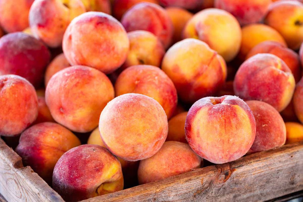 10 surprising health benefits and uses of peaches - Photo 12.
