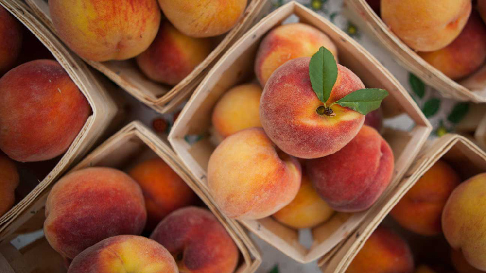 10 surprising health benefits and uses of peaches - Photo 1.