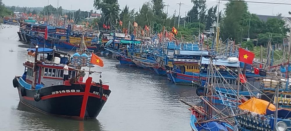 Ảnh: Neo đậu tàu cá gần khu vực cảng Sa Kỳ, Quảng Ngãi - Ảnh 1.