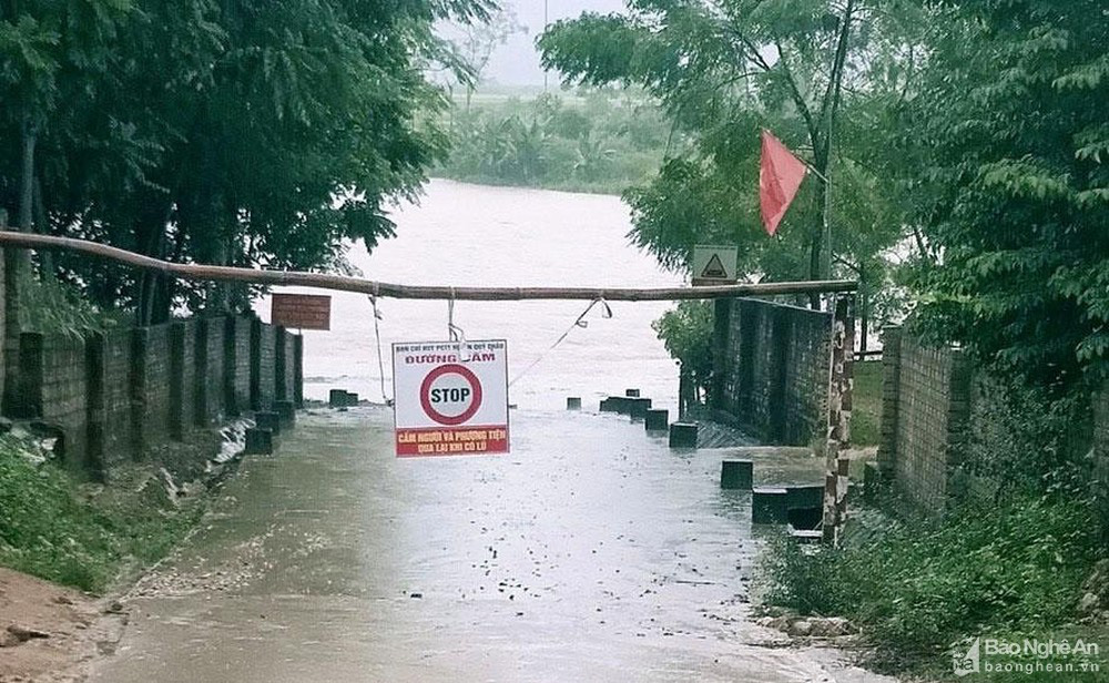 Nam Định, Thanh Hóa, Nghệ An, Phú Thọ thiệt hại do mưa lớn - Ảnh 4.