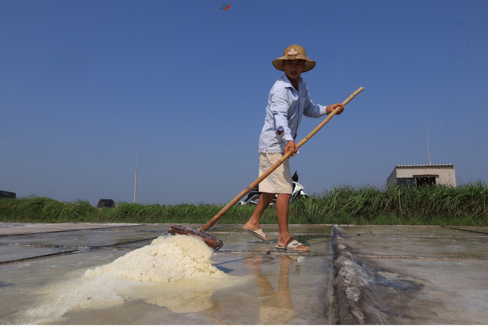 Mùa thu hoạch muối ở Nam Định - Ảnh 6.