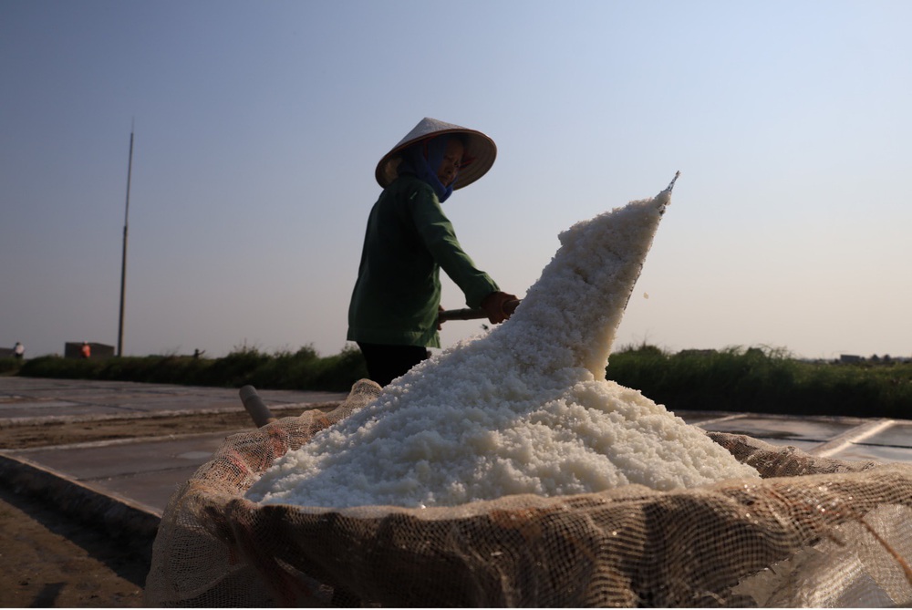 Mùa thu hoạch muối ở Nam Định - Ảnh 10.