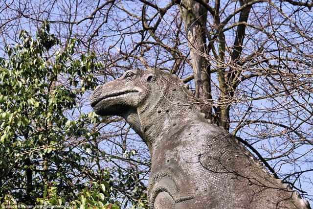 Khung cảnh hoang tàn trong công viên khủng long bị bỏ hoang ở Anh - Ảnh 13.