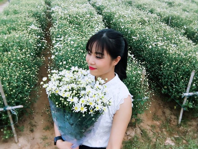 MC Hoàng Linh xinh đẹp giữa vườn cúc họa mi | VTV.VN