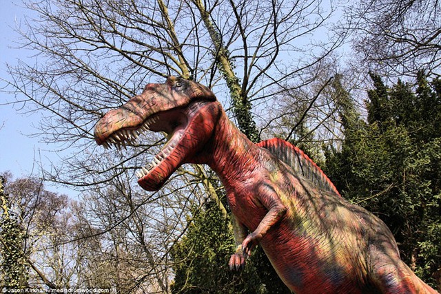 Khung cảnh hoang tàn trong công viên khủng long bị bỏ hoang ở Anh - Ảnh 2.