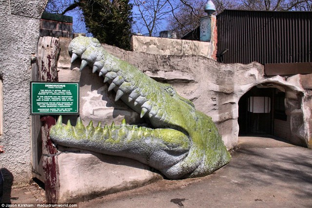 Khung cảnh hoang tàn trong công viên khủng long bị bỏ hoang ở Anh - Ảnh 3.