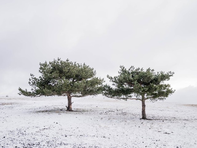 Những mảnh đất thần tiên trong mùa tuyết trắng - Ảnh 9.
