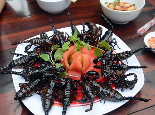Kinh hãi những món ăn chế biến từ côn trùng được cho là bổ dưỡng - Ảnh 4.