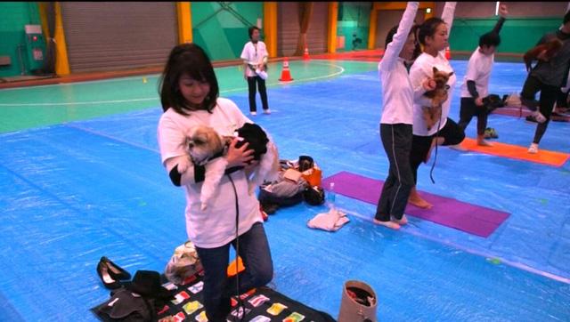 Kỷ lục tập yoga cùng cún cưng tại Nhật Bản - Ảnh 1.